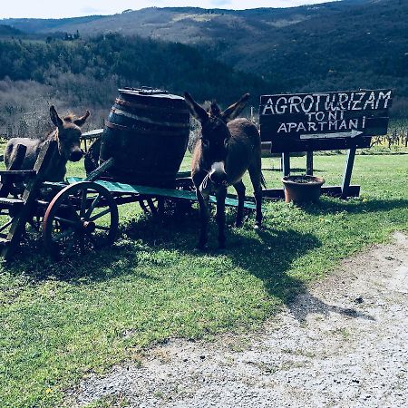 Agroturizam Toni Leilighet Motovun Eksteriør bilde