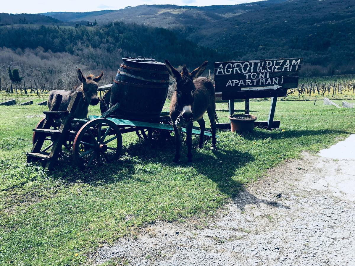 Agroturizam Toni Leilighet Motovun Eksteriør bilde